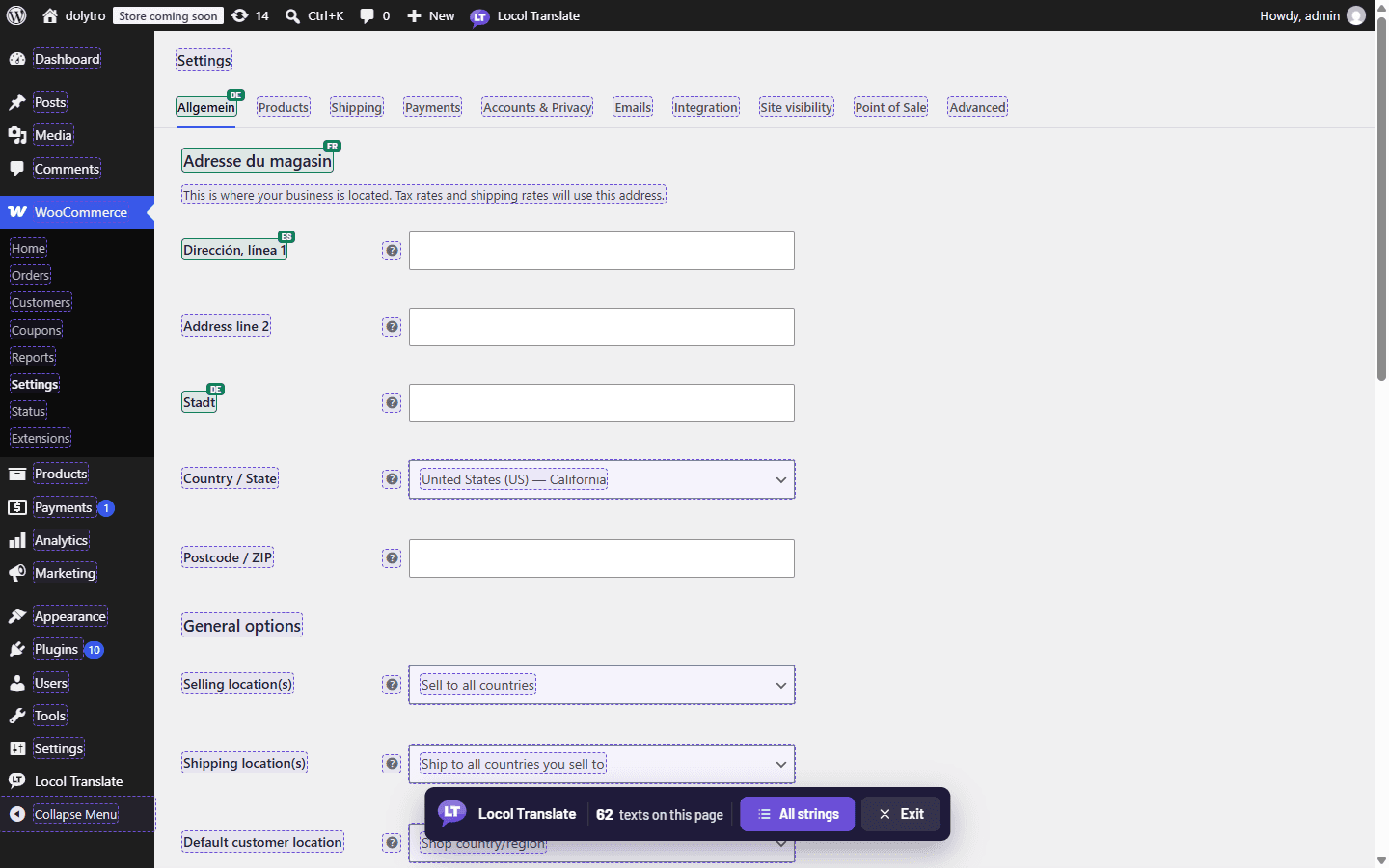 Locol Translate settings screen inside WordPress admin